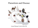 Parasitism and Disease - Powerpoint for Oct. 26.