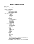 Practical Anatomy Checklist