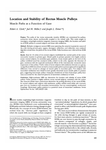 Location and Stability of Rectus Muscle Pulleys