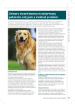 Urinary incontinence in veterinary patients