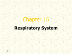 Respiratory PPT