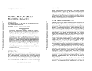 CENTRAL NERVOUS SYSTEM NEURONAL MIGRATION