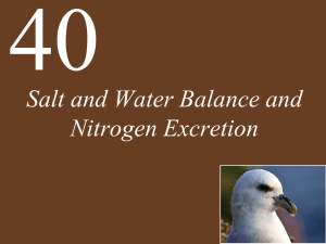 Salt and Water Balance and Nitrogen Excretion