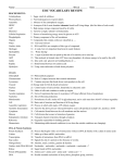 EOC Vocab Review _answer key_1