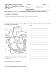 Circulatory System Activities Packet 2015