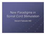 New Paradigms in Spinal Cord Stimulation