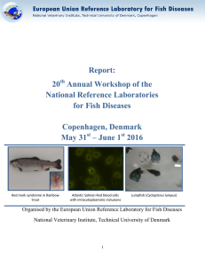 Report 20th Annual Workshop