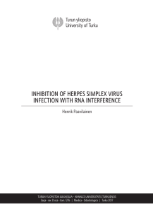 INHIBITION OF HERPES SIMPLEX VIRUS INFECTION WITH