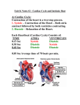 Cardiac Cycle and Intrinsic Beat - Mr. Lesiuk