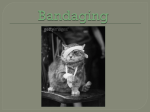 Bandaging - Catherine Huff`s Site