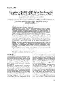 Expression of RANKL mRNA during Root Resorption Induced by