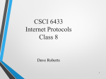 VPN, Mobility - CSCI 6433 Internet Protocols