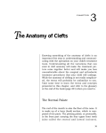 Anatomy of Clefts