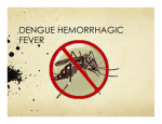 dengue hemorrhagic fever - DLSU-D