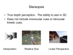 Stereopsis and Refra..