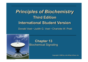 Principles of Biochemistry