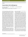 Conservation in the Anthropocene