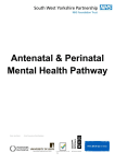 Antenatal and Perinatal Mental Health Pathway