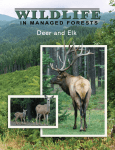 Wildlife in Managed Forests: Deer and Elk