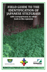 Field Guide to the Identification of Japanese Stiltgrass