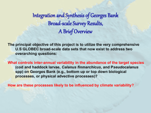 Georges Bank Broad-Scale Standard Grid.