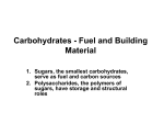 Carbohydrates - Fuel and Building Material