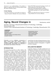 Aging, Neural Changes in