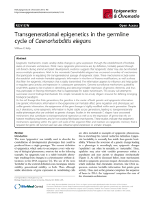 Transgenerational epigenetics in the germline cycle