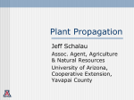 Plant Propagation - The University of Arizona Extension