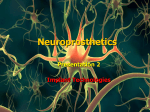 Efferent Neurons