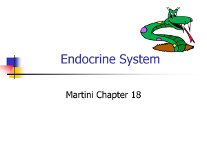 Endocrine System - TAFE SWSi Moodle