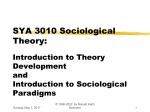Theory Development and Sociological