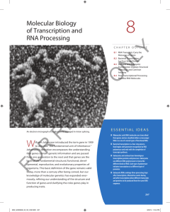 Molecular Biology of Transcription and RNA Processing