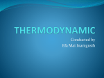 thermodynamic - WordPress.com