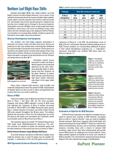 Northern Leaf Blight Race Shifts