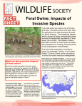 Feral Swine: Impacts of Invasive Species