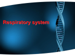 Respiratory system1
