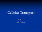 CH 2.1 Cell Transportation PowerPoint