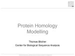 Homology Modelling