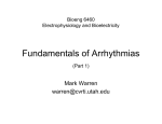 Basics of Arrhythmias Pt 1