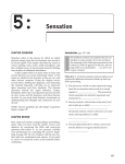 Sensation - Macmillan Learning