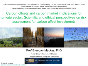 Carbon offsets and carbon market implications for private