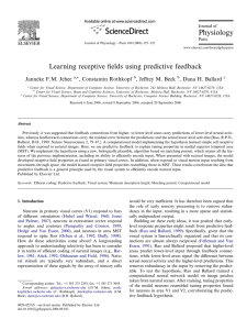Learning receptive fields using predictive feedback