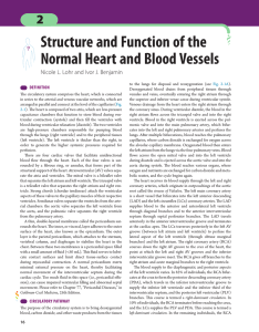 Structure and Function of the Normal Heart and Blood