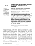 NOTE Corynebacterium efficiens sp. nov., a glutamic