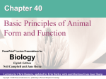 40_Animal tissues