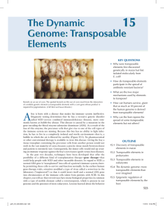 The Dynamic Genome: Transposable Elements The Dynamic