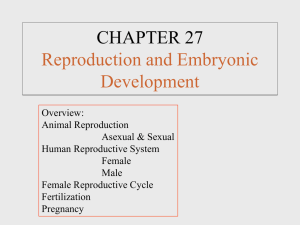 CHAPTER 27 Reproduction and Embryonic Development