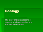 Ecology and Interactionswoyce