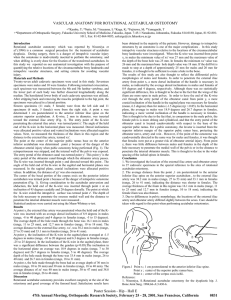 vascular anatomy for rotational acetabular osteotomy